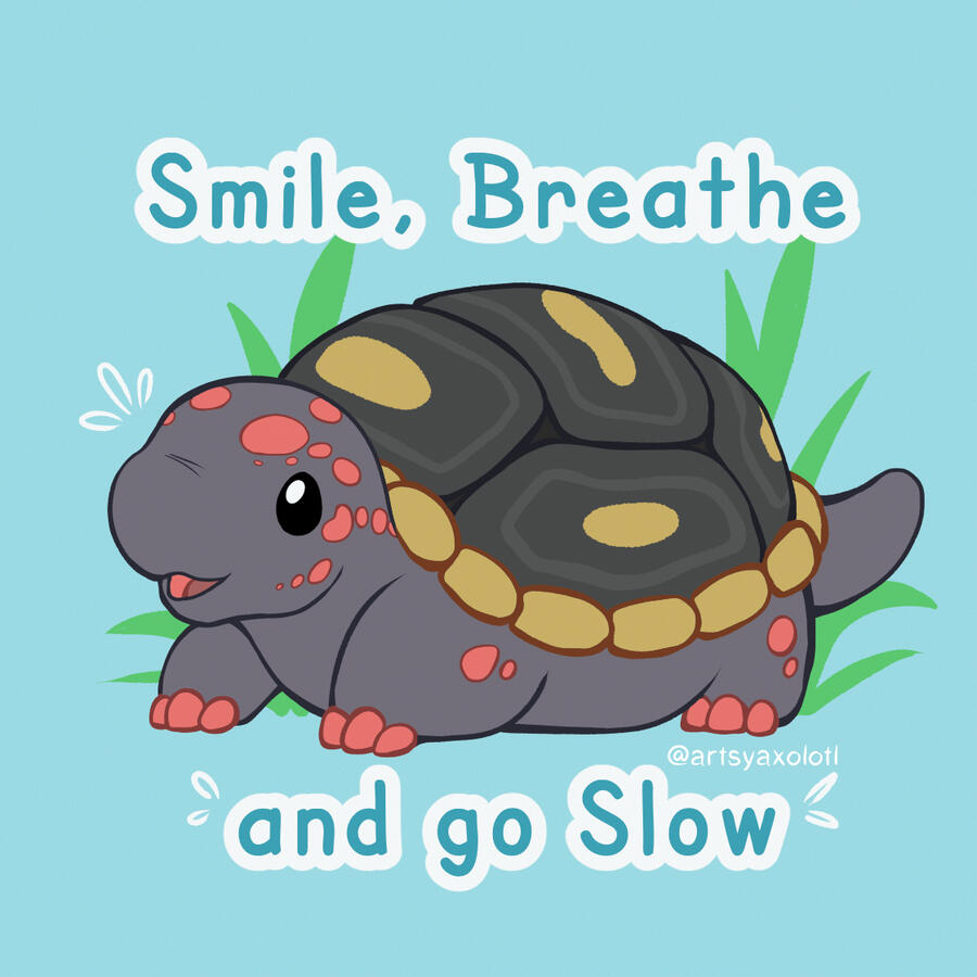 Smile, Breathe, and go Slow