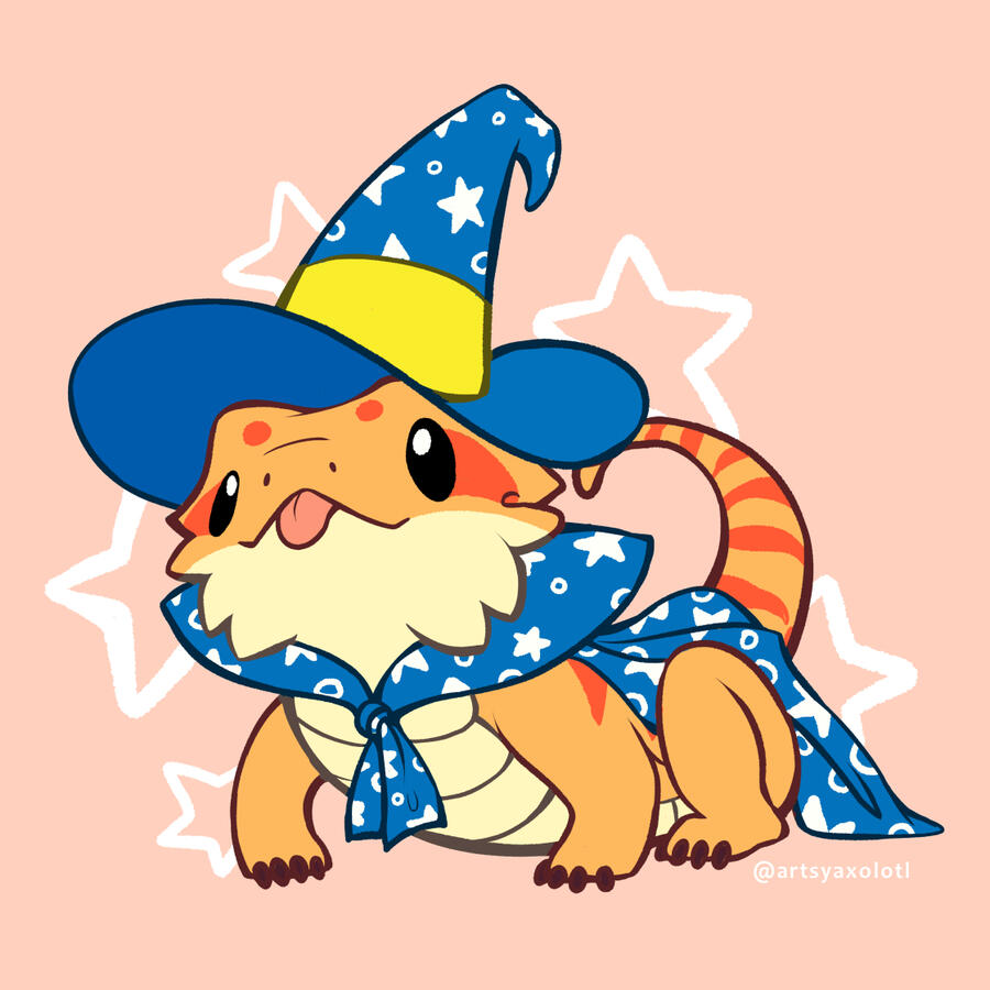 Lizard Wizard